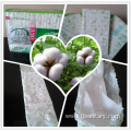 Bulk breathable cotton sanitary pads